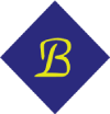b-envit-logo
